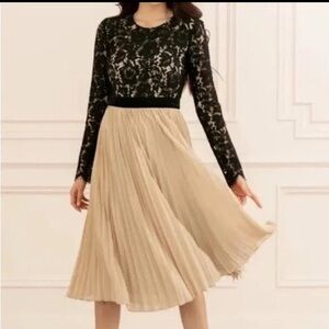 Rachel Parcell Elegant Black Lace and Beige Pleated Dress